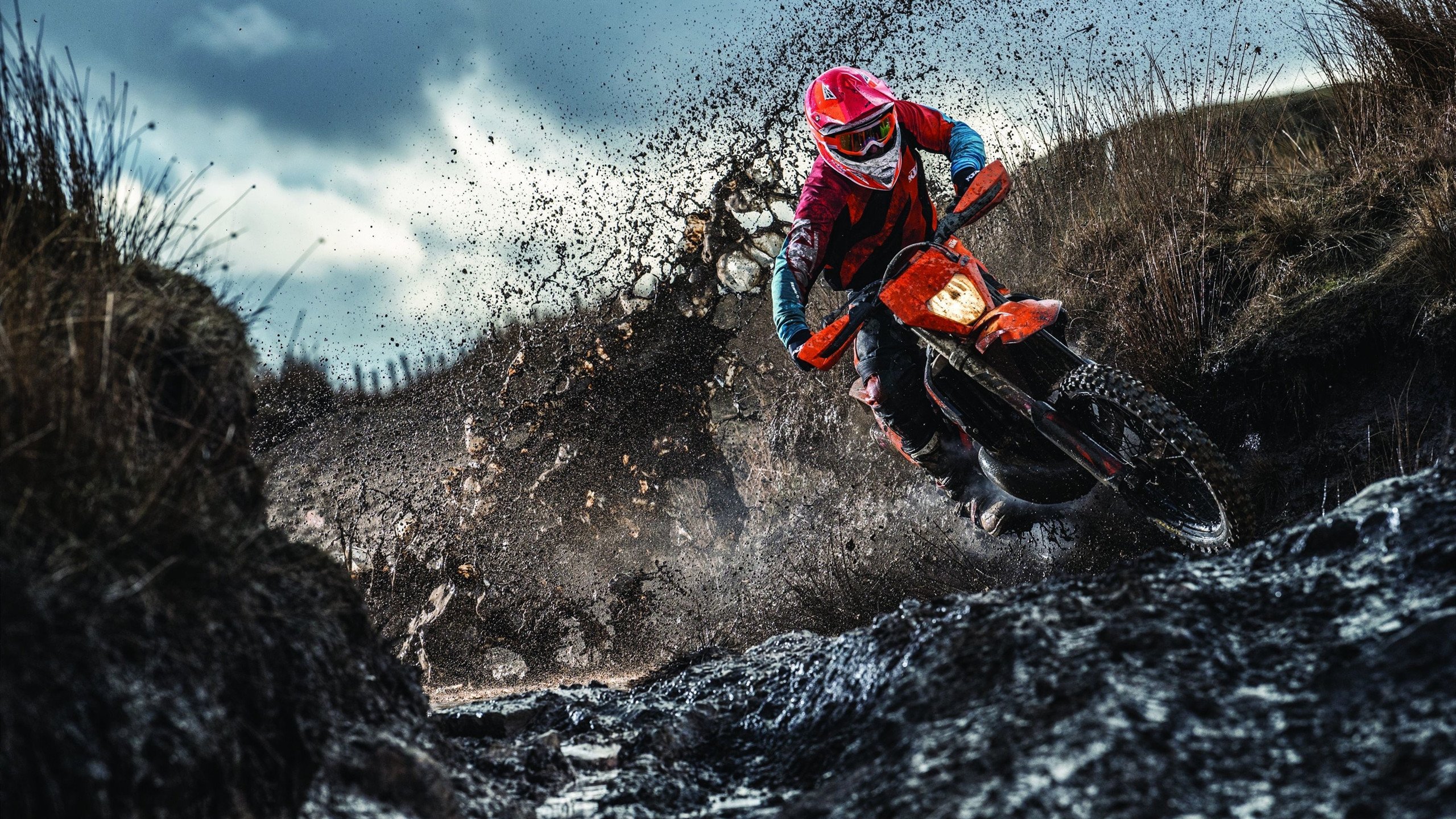 《社区互动：粉丝投票选出最喜爱的战队》，最聚合的粉丝社区平台